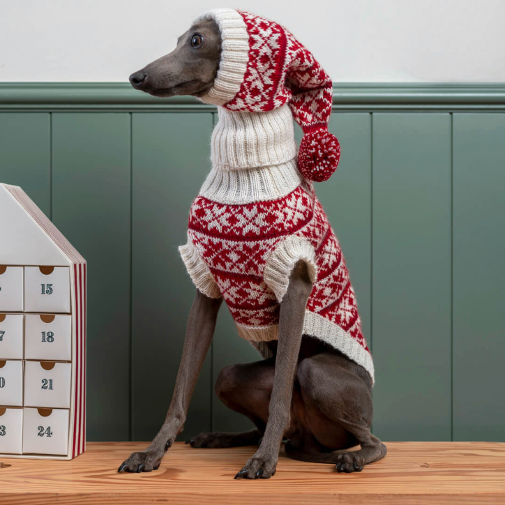 Medium Pet Sweater in Alpaca Alqo Wasi | blu29