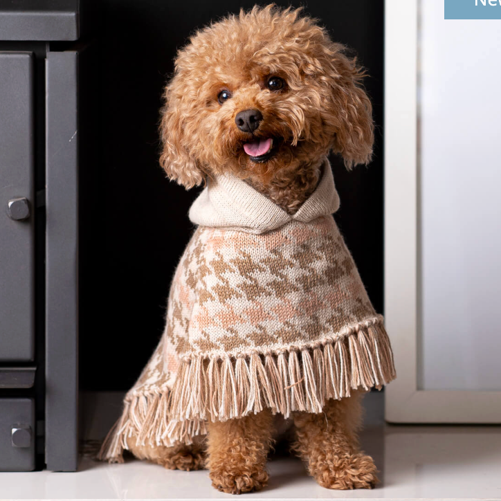 Medium Pet Sweater in Alpaca Alqo Wasi | blu29
