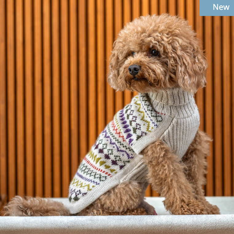 ALQOWASI PETニット Medium Pet Sweater in Alpaca Alqo Wasi | blu29
